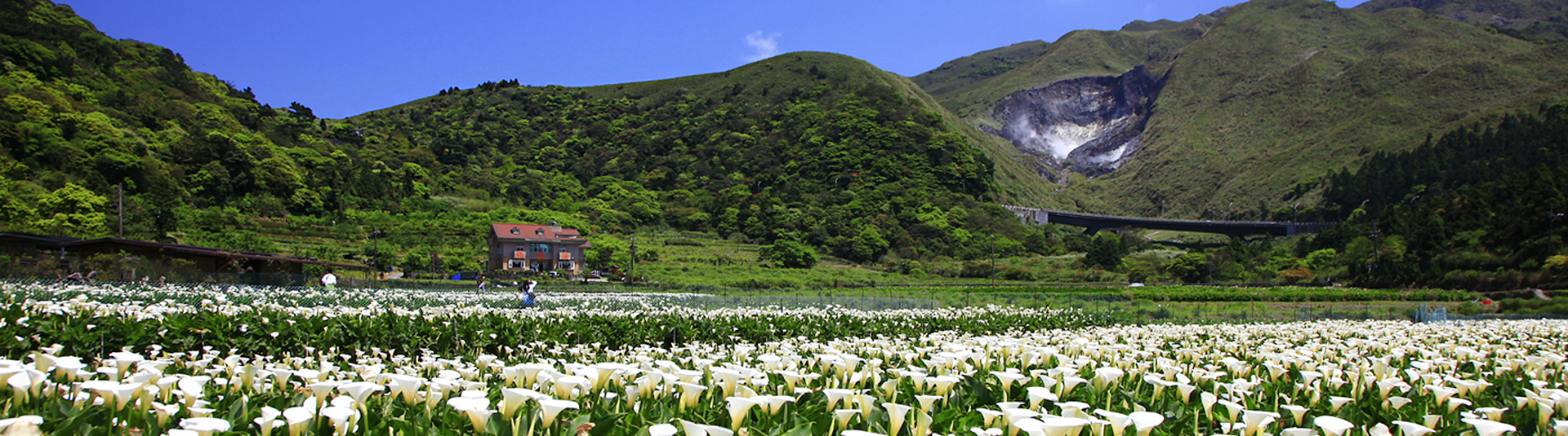 Yangmingshan