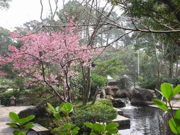 石門山溫泉會館 園區