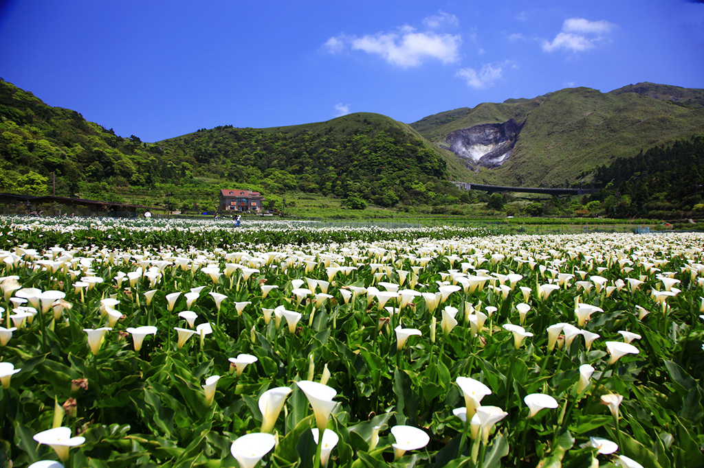 小油坑